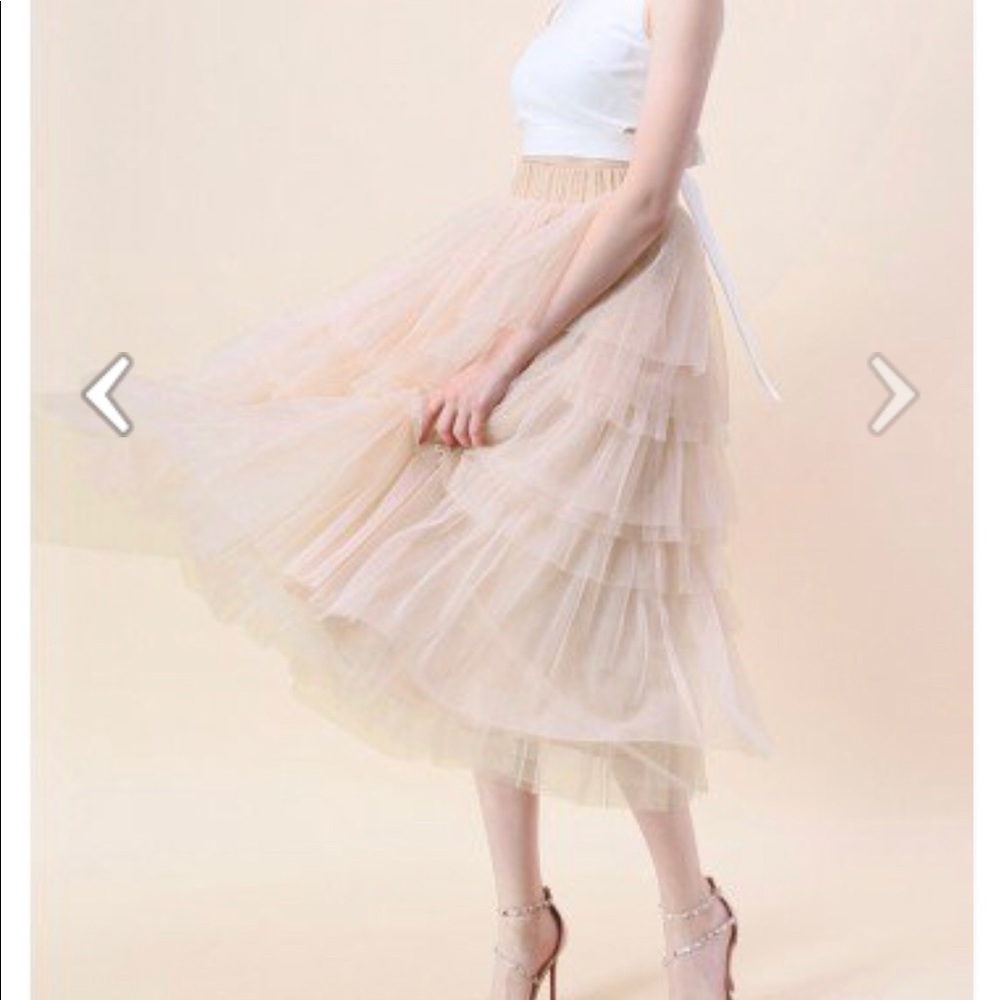 CHICWISH Blush Tulle Skirt